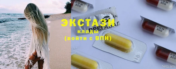 индика Верхний Тагил