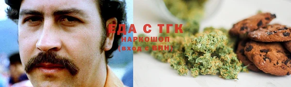 индика Верхний Тагил