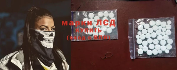 стаф Верея