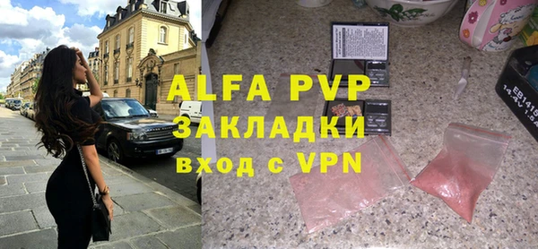 стаф Верея