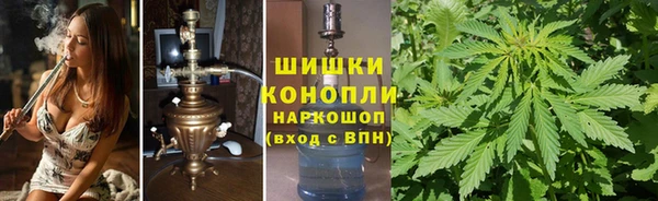 индика Верхний Тагил