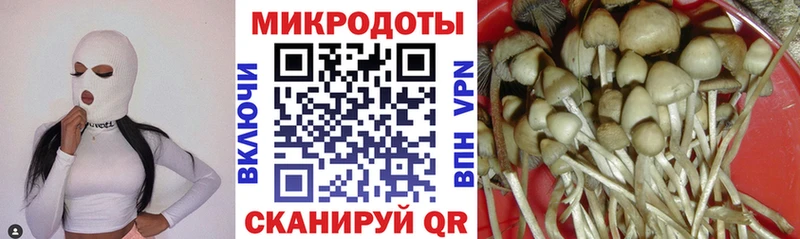 купить   Жирновск  omg сайт  Псилоцибиновые грибы прущие грибы 